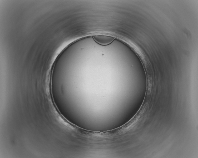 X0000112721102200909031412