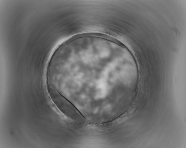 X0000112721104200909031412