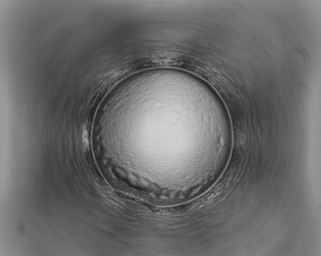 X0000112721106200909031411