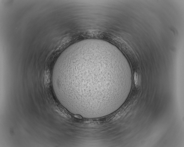 X0000112721107200909031411