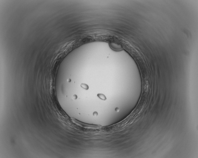 X0000112721108200909031411