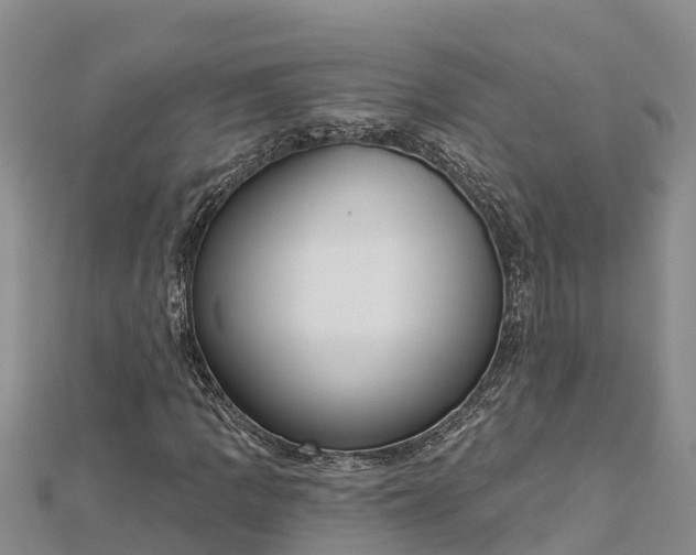 X0000112721109200909031411