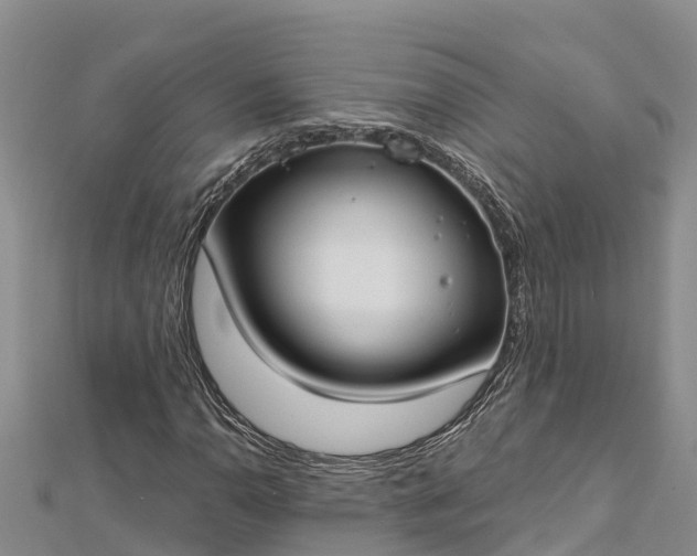 X0000112721110200909031411