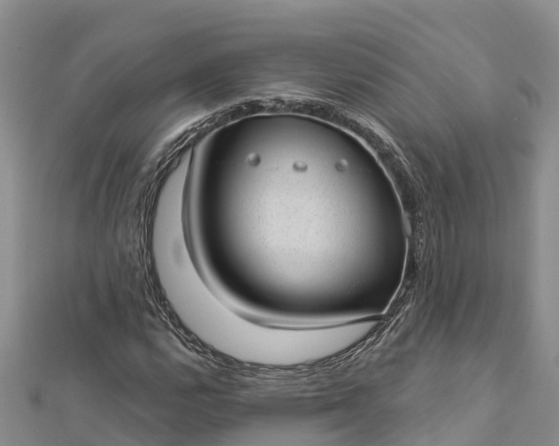 X0000112721112200909031411