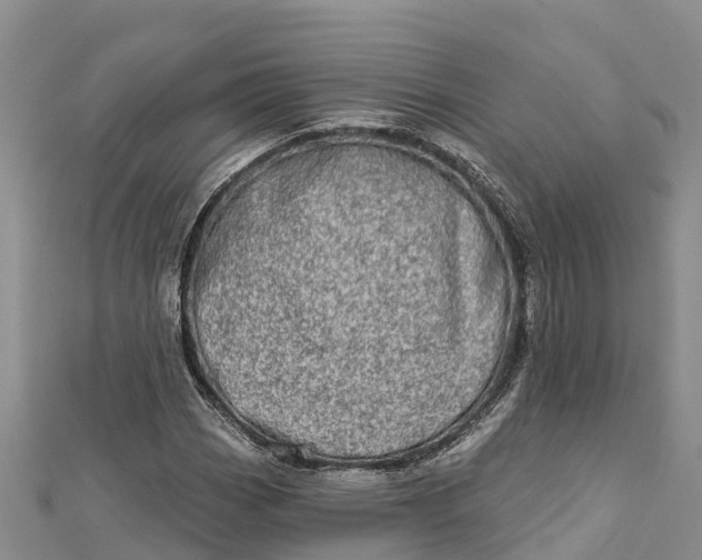 X0000112721113200909031411