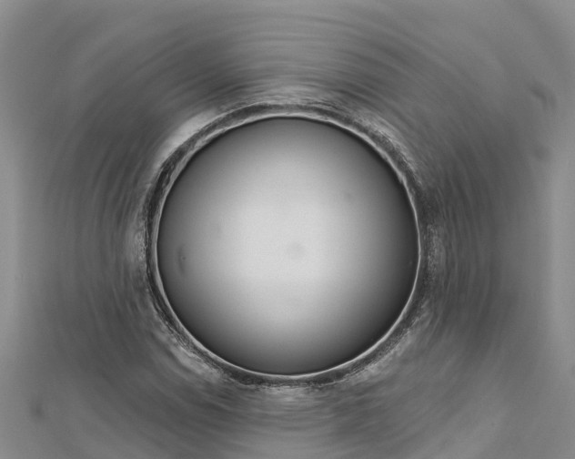 X0000112721114200909031411