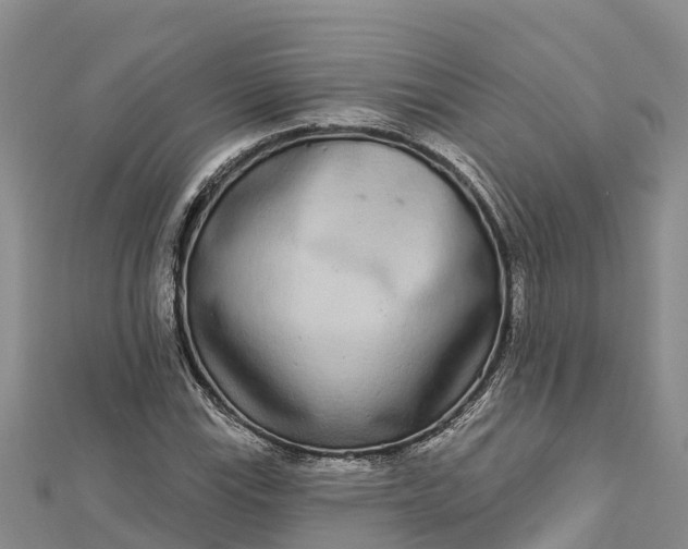 X0000112721115200909031411