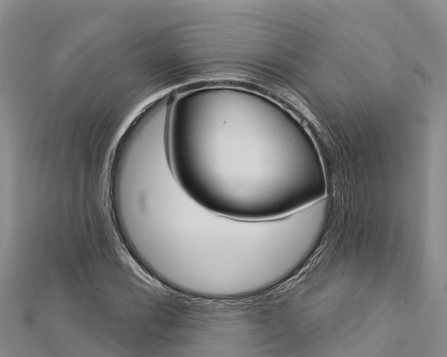 X0000112721116200909031411