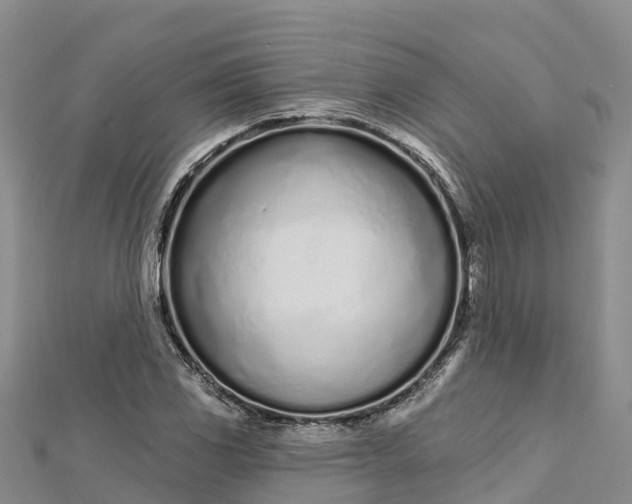 X0000112721117200909031411