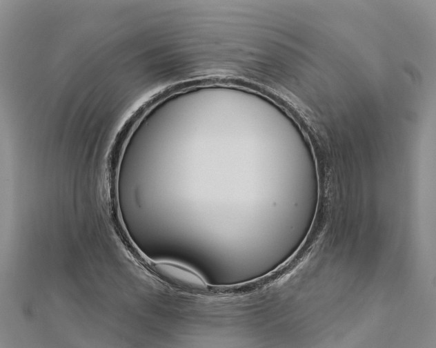 X0000112721118200909031411