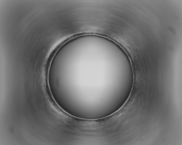 X0000112721120200909031411