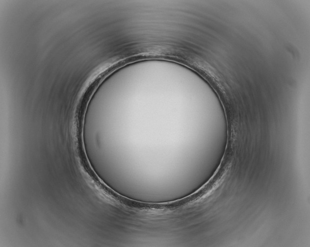 X0000112721122200909031411