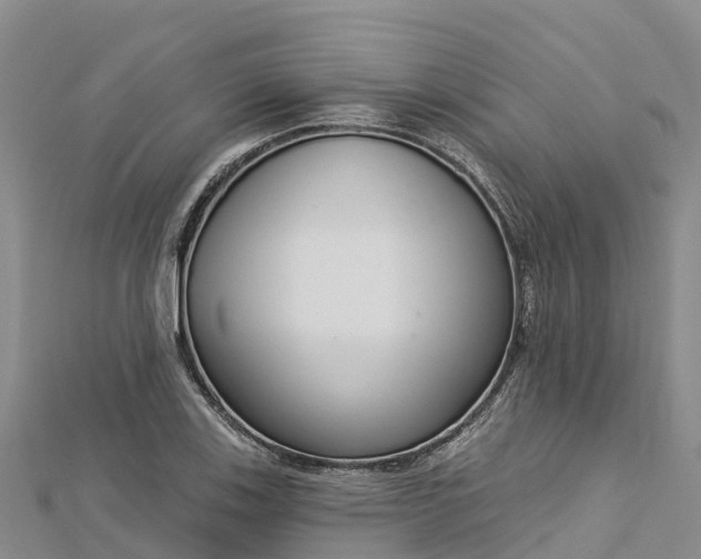 X0000112721123200909031411