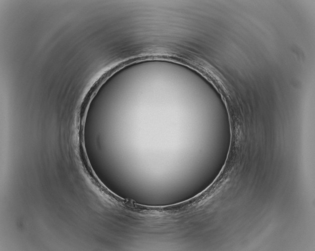 X0000112721124200909031411