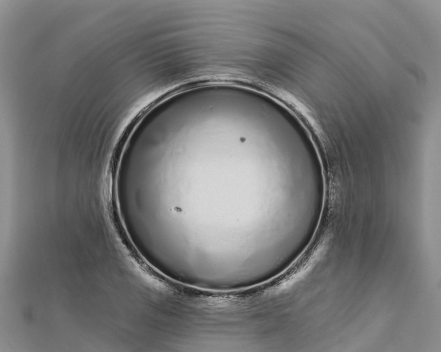 X0000112721125200909031411