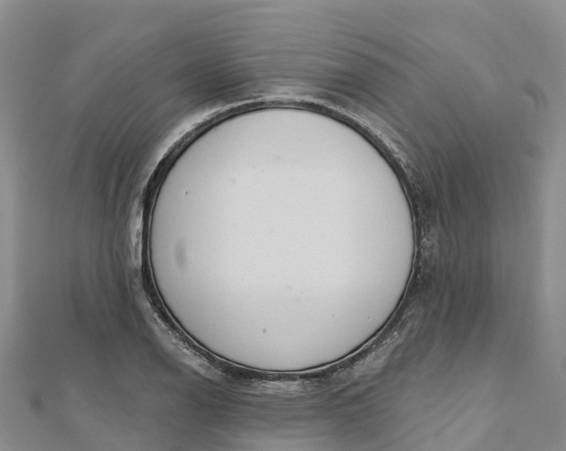 X0000112721126200909031411