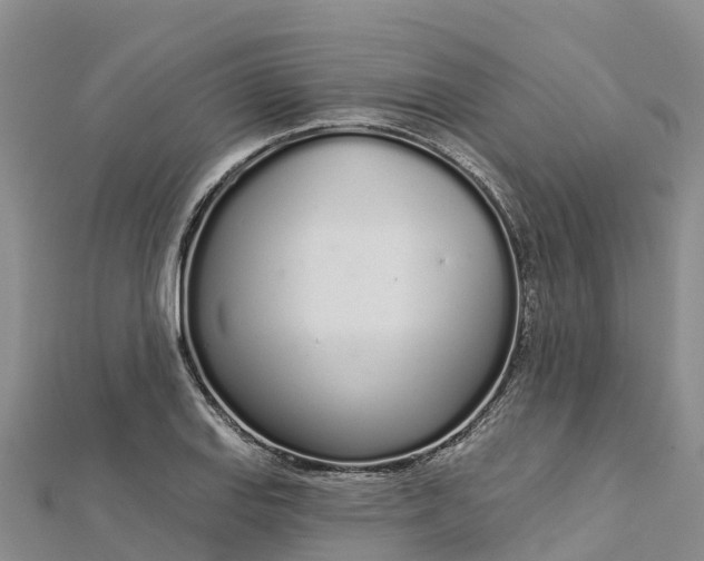 X0000112721127200909031411