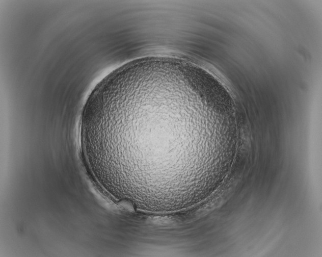 X0000112721128200909031411