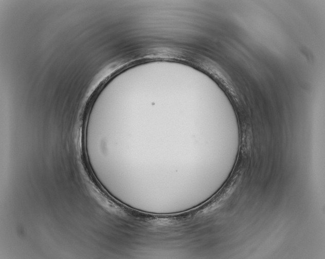 X0000112721130200909031411