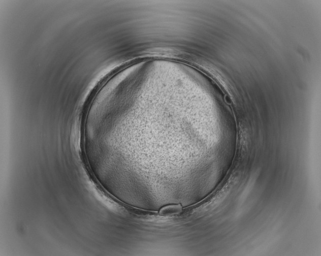 X0000112721131200909031411