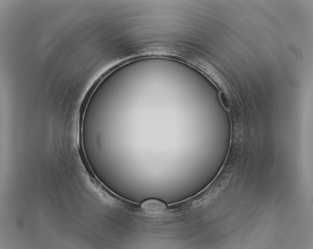 X0000112721132200909031411