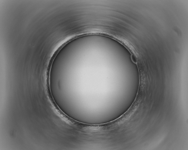 X0000112721134200909031411