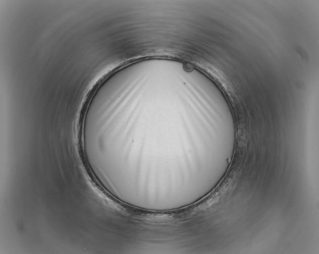 X0000112721135200909031411