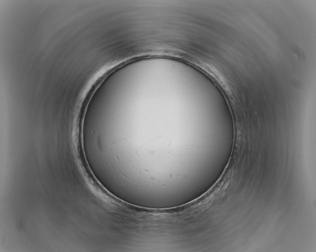 X0000112721136200909031411