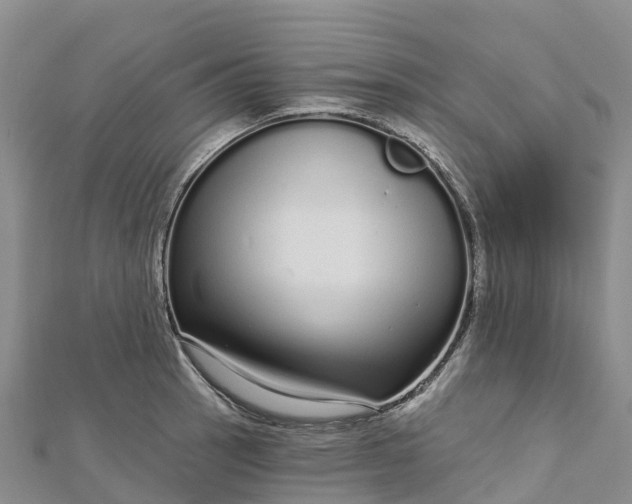 X0000112721137200909031411