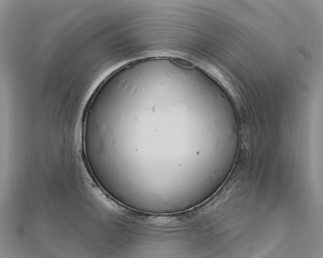 X0000112721140200909031411