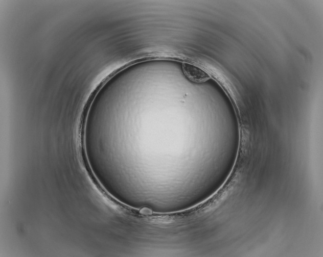 X0000112721141200909031411