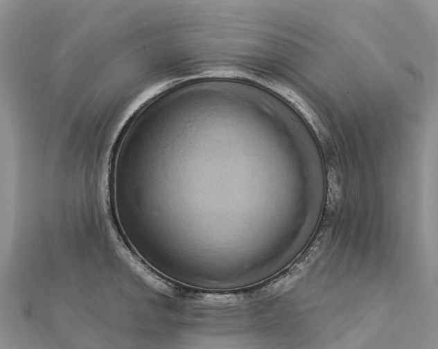 X0000112721142200909031411