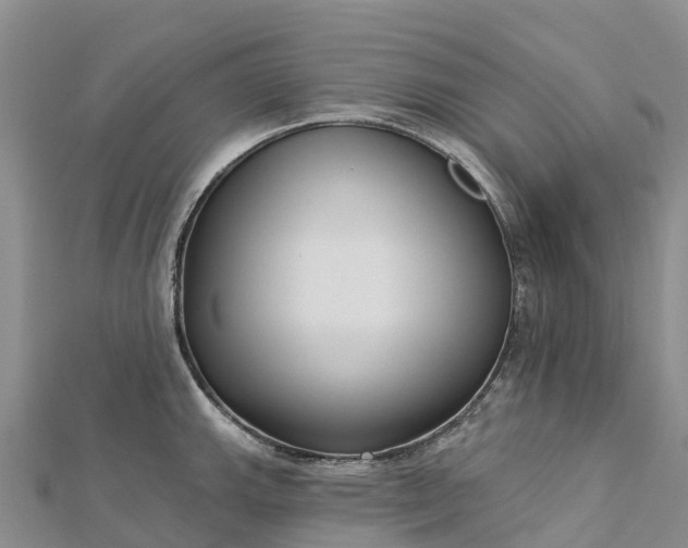 X0000112721143200909031411