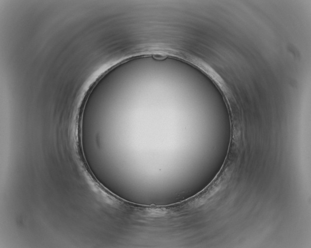 X0000112721144200909031412