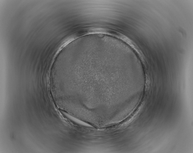 X0000112721145200909031412