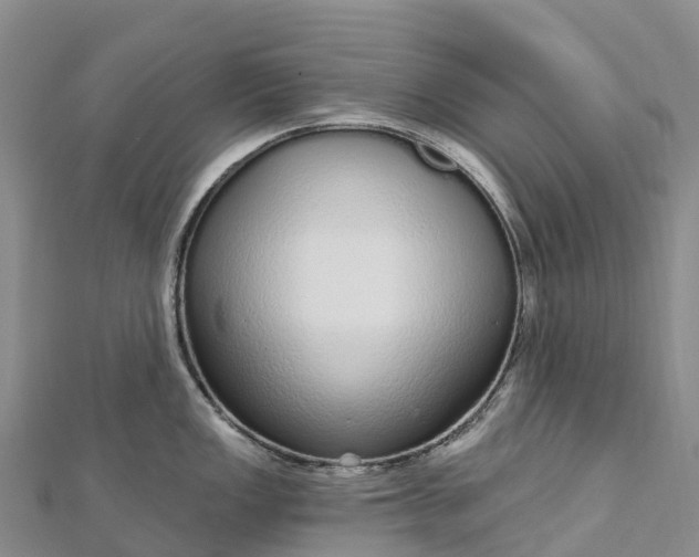 X0000112721149200909031412