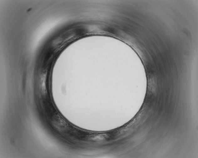 X0000112721150200909031412