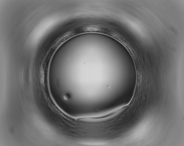 X0000112721151200909031412