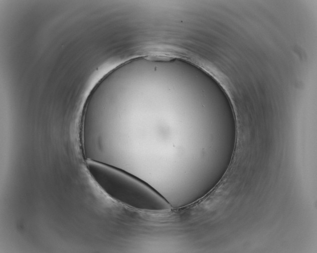 X0000112721152200909031412