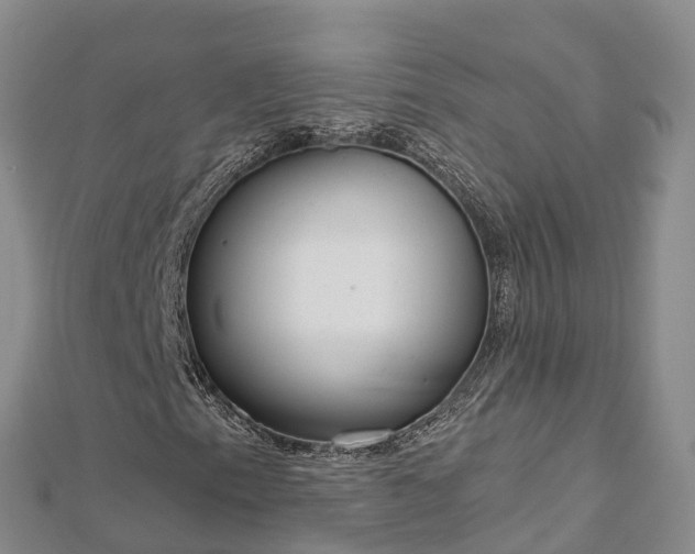 X0000112721153200909031411