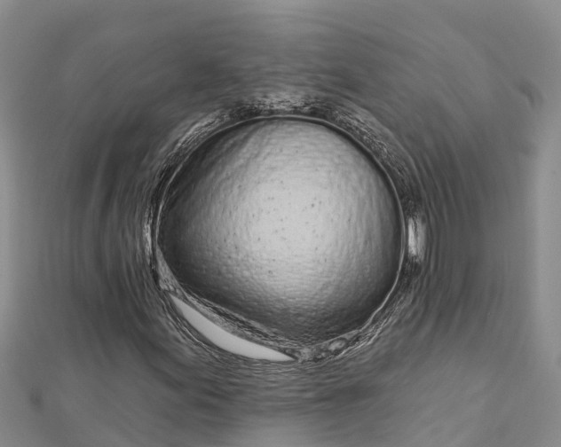 X0000112721155200909031411