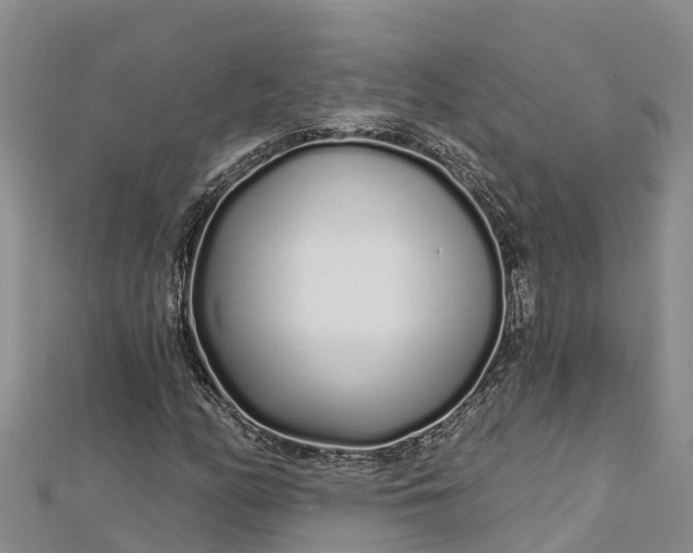 X0000112721158200909031411