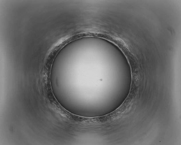 X0000112721159200909031411