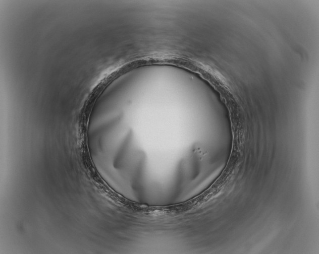 X0000112721160200909031411