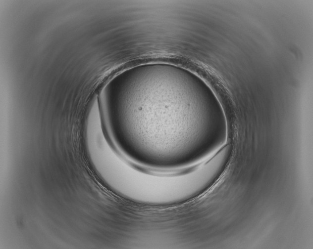 X0000112721161200909031411