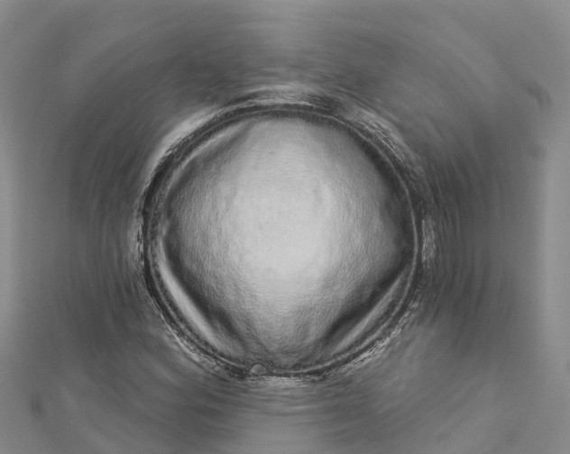 X0000112721164200909031411