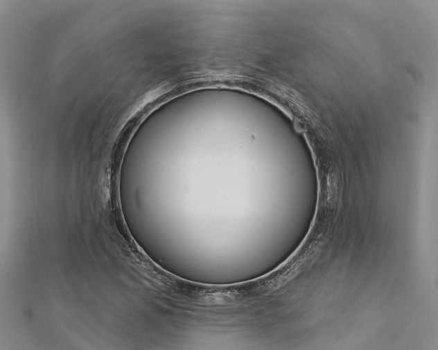 X0000112721165200909031411