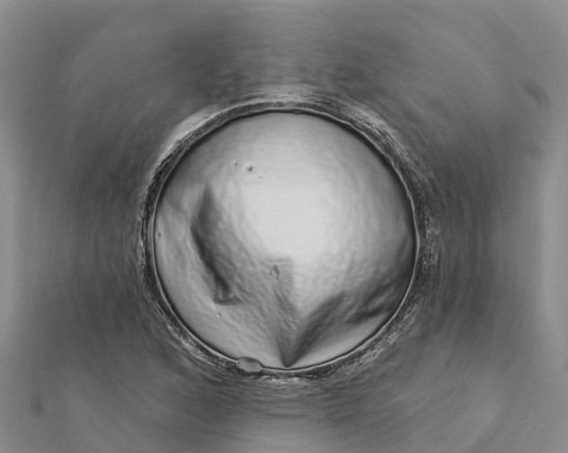 X0000112721168200909031411