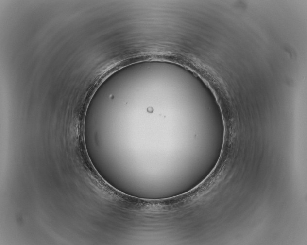 X0000112721169200909031411