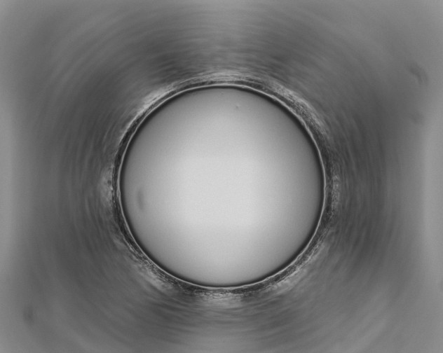 X0000112721170200909031411